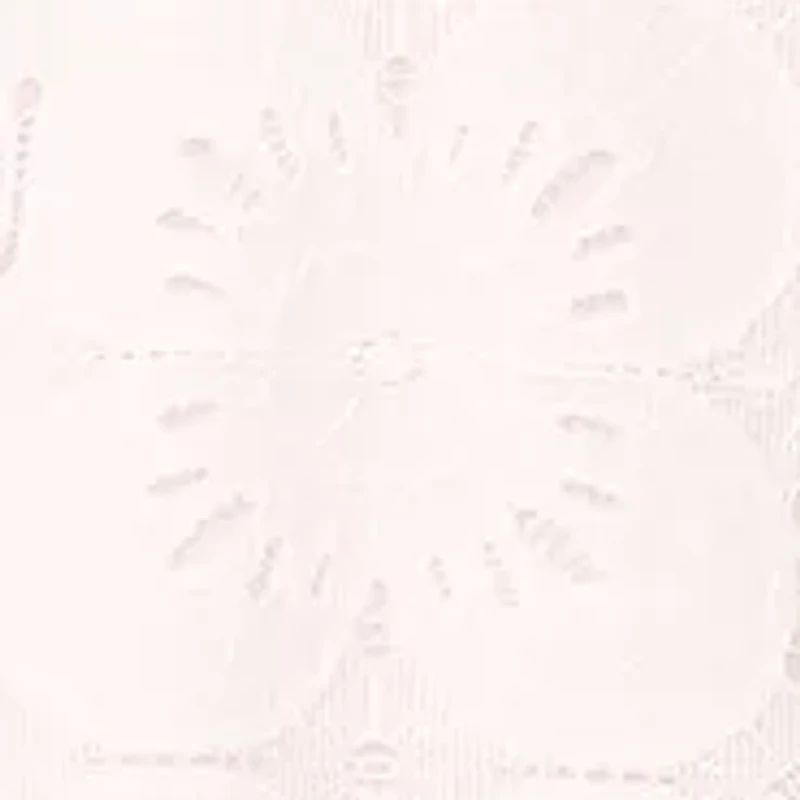 Petite Ruffle Shoulder Lace Mini Dress