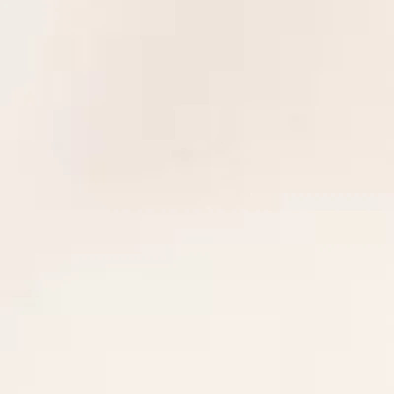 Petite V-Neck Blouse