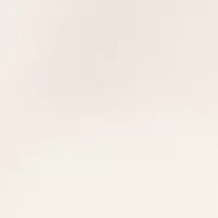 Petite V-Neck Blouse