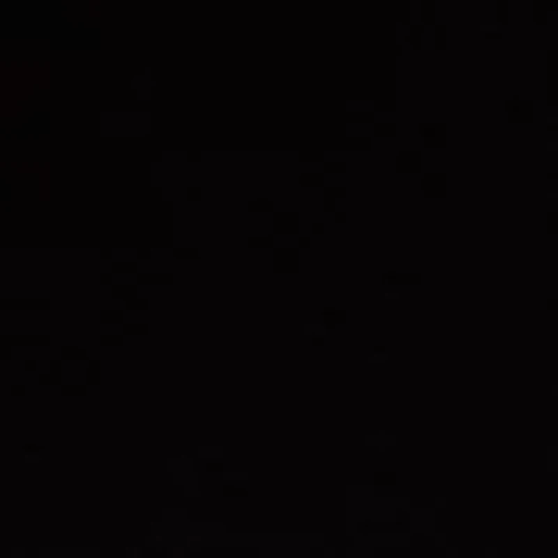 Petite Bow Placket Long Sleeve Blouse