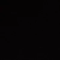 Petite Bow Placket Long Sleeve Blouse