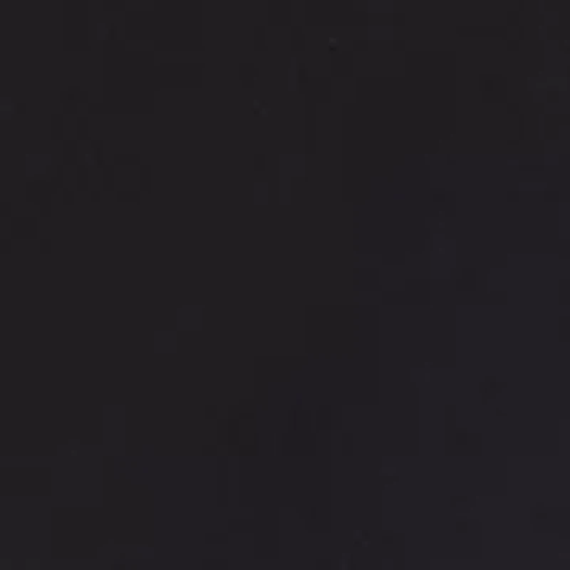 Petite Long Sleeve Top with Sheer Ruffle Sleeves