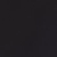 Petite Long Sleeve Top with Sheer Ruffle Sleeves