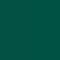 Petite Tie Sleeve V-Neck Blouse