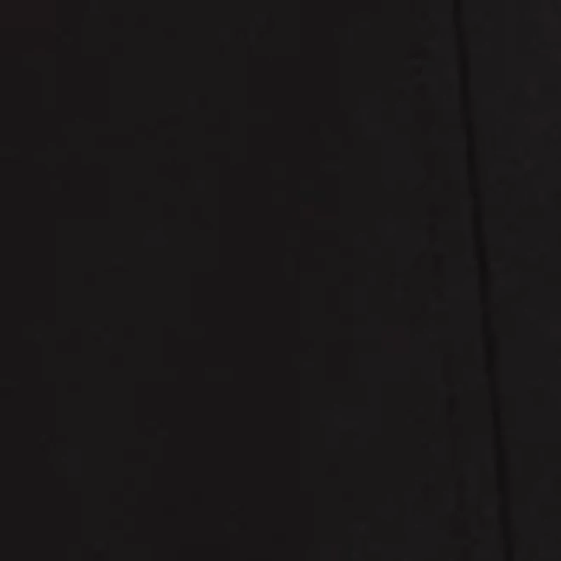 Petite High Rise Single Pleat Pants