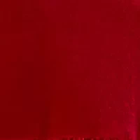 Plus Long Sleeve Split Neck Velvet Babydoll Dress