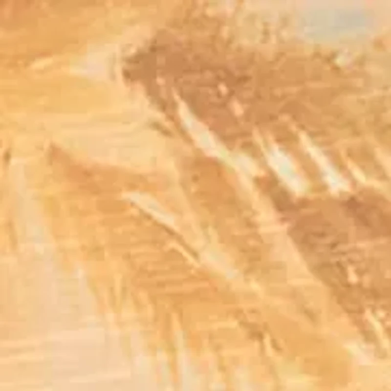 Women's Short Dolman Sleeve Printed Top