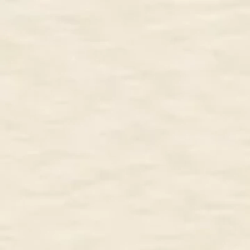 Women's Embroidered Short Sleeve Top