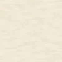 Women's Embroidered Short Sleeve Top