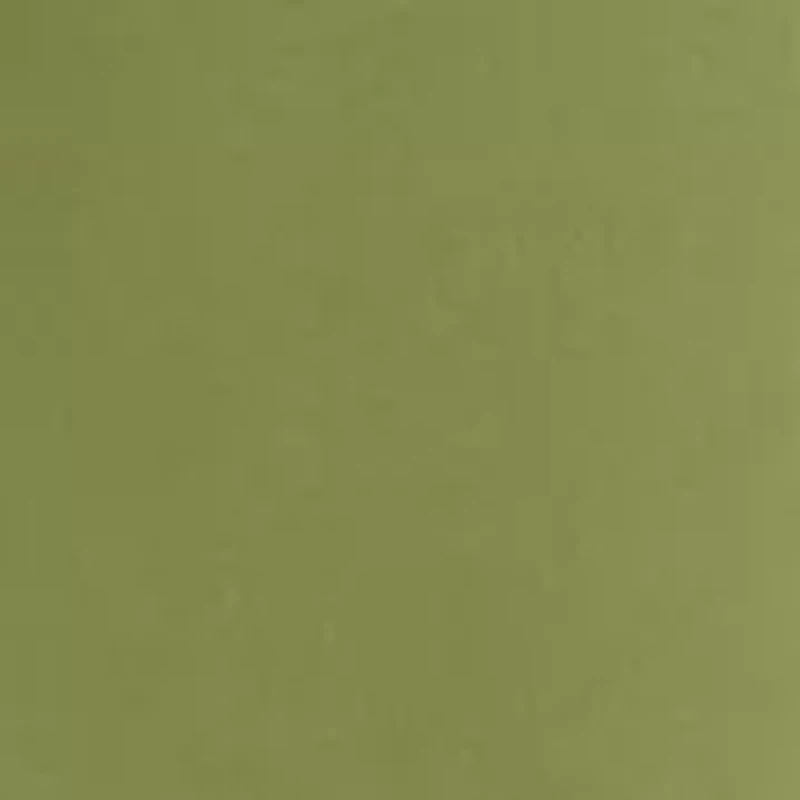 Petite High Rise Skinny Pants