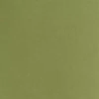 Petite High Rise Skinny Pants