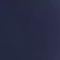 Petite High Rise Skinny Cropped Jeans