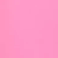 Petite High Rise Skinny Cropped Jeans