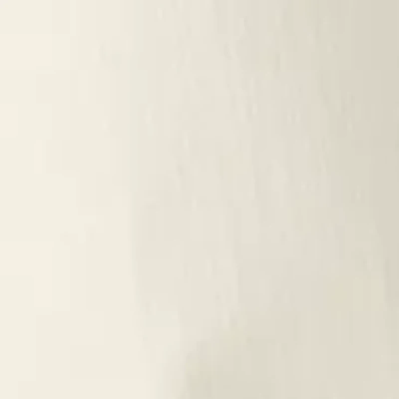 Petite Mid Rise Straight Jeans