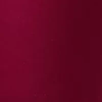 Petite High Rise Skinny Jeans