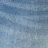 Petite Glitter Denim Pants