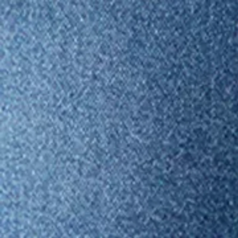 Plus High Rise Relaxed Denim SHorts