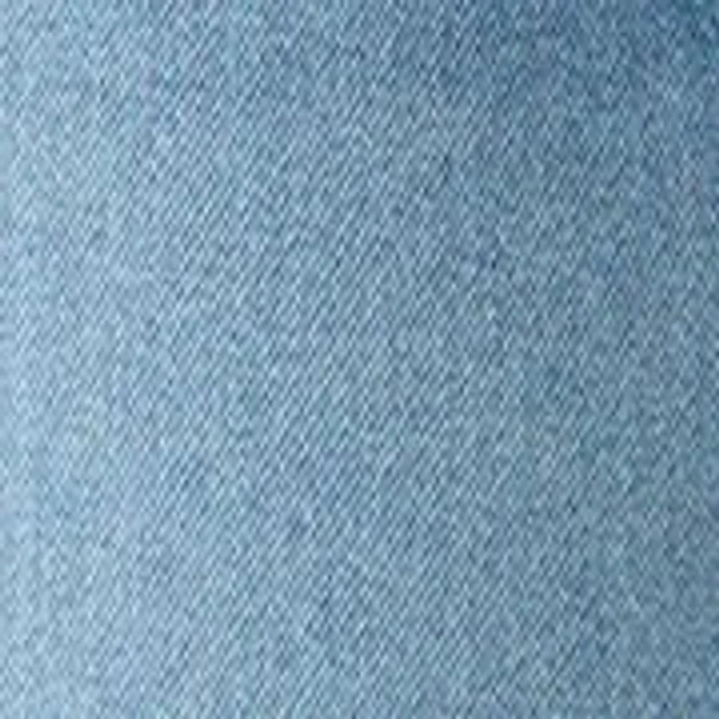 Plus High Rise Relaxed Denim SHorts