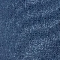 Plus High Rise Straight Leg Denim Jeans