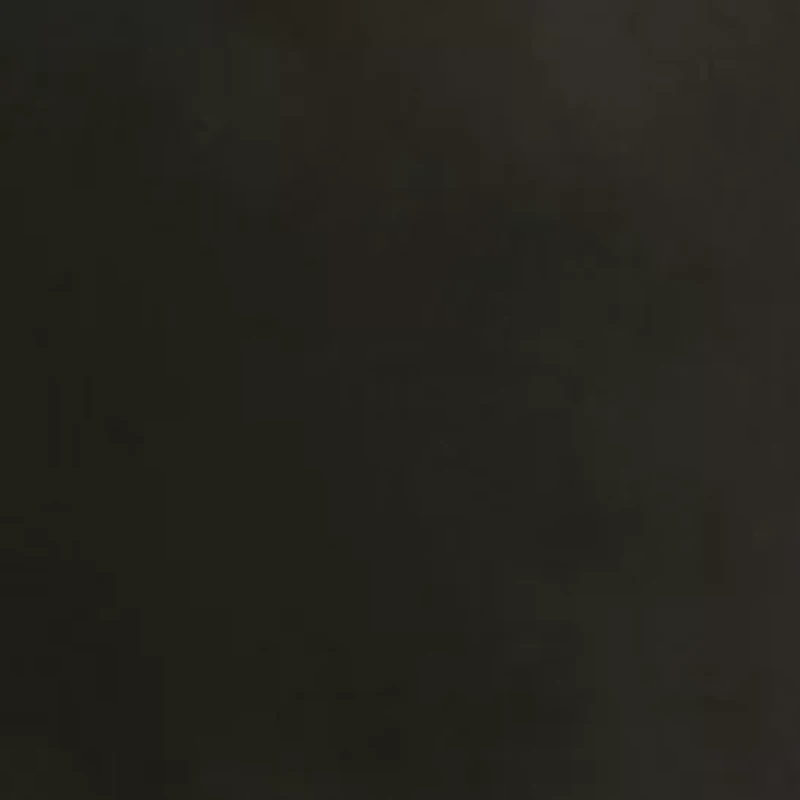 Petite Woven Button Down Shirt