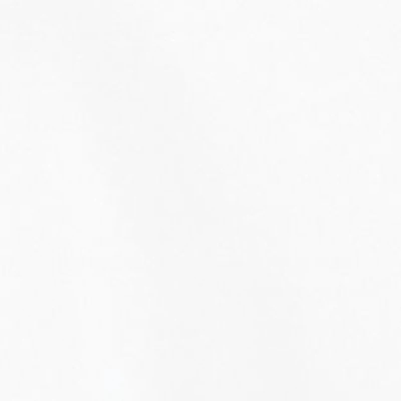 Petite Woven Button Down Shirt