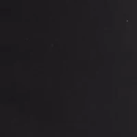 Petite Signature Skinny Pants