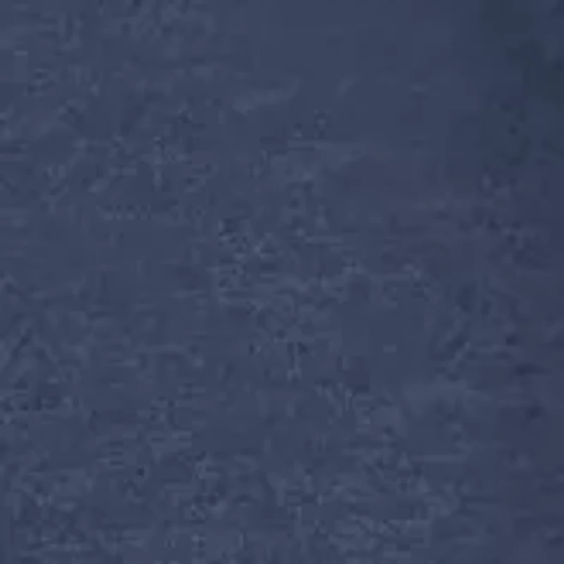 NCAA Auburn Tigers Graphic Hoodie