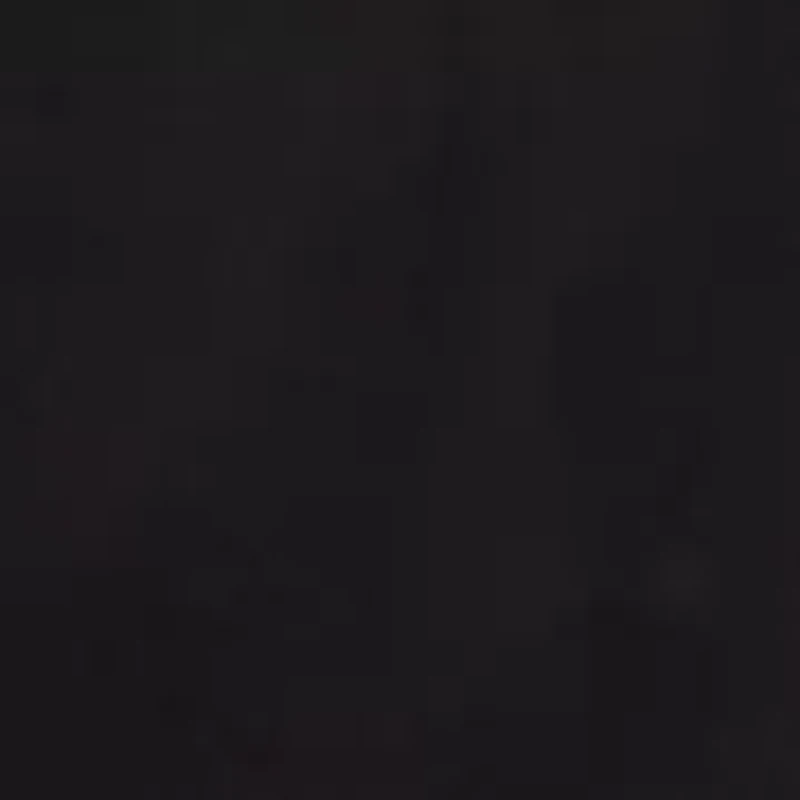 NCAA Ladies Morehouse College Maroon Tigers Fraction Legging