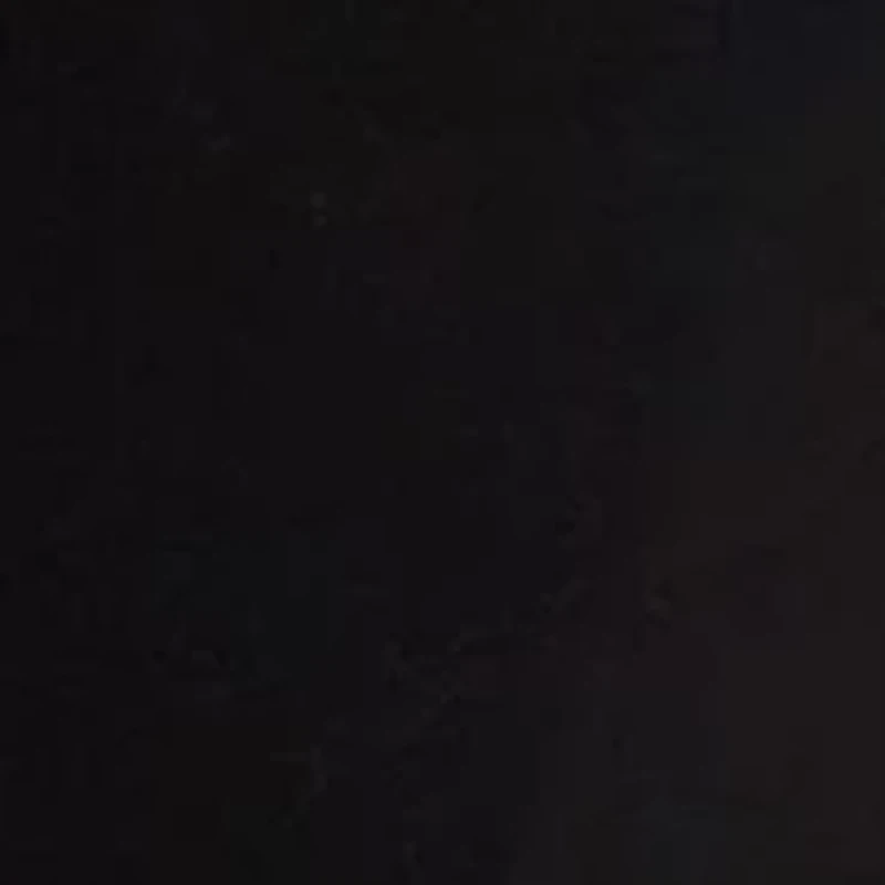 NCAA Ladies Grambling State Tigers Fraction Legging