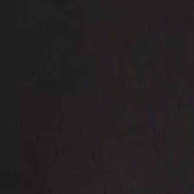 NCAA Auburn Tigers Lineup Knit Leggings