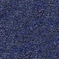 NCAA Ladies Auburn Tigers Quest Pant