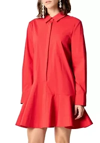 Collar Flare Skirt Dress