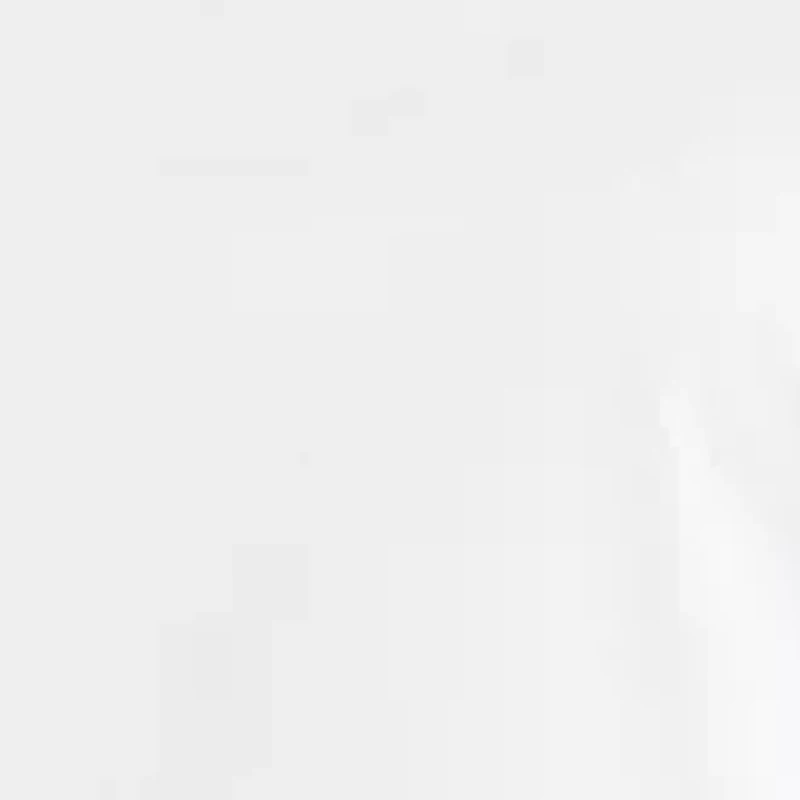 Women's Scallop Embroidery Mini Dress