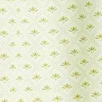 Plus Printed Mini Dress