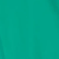 Plus A-Line Kaftan Collar Dress