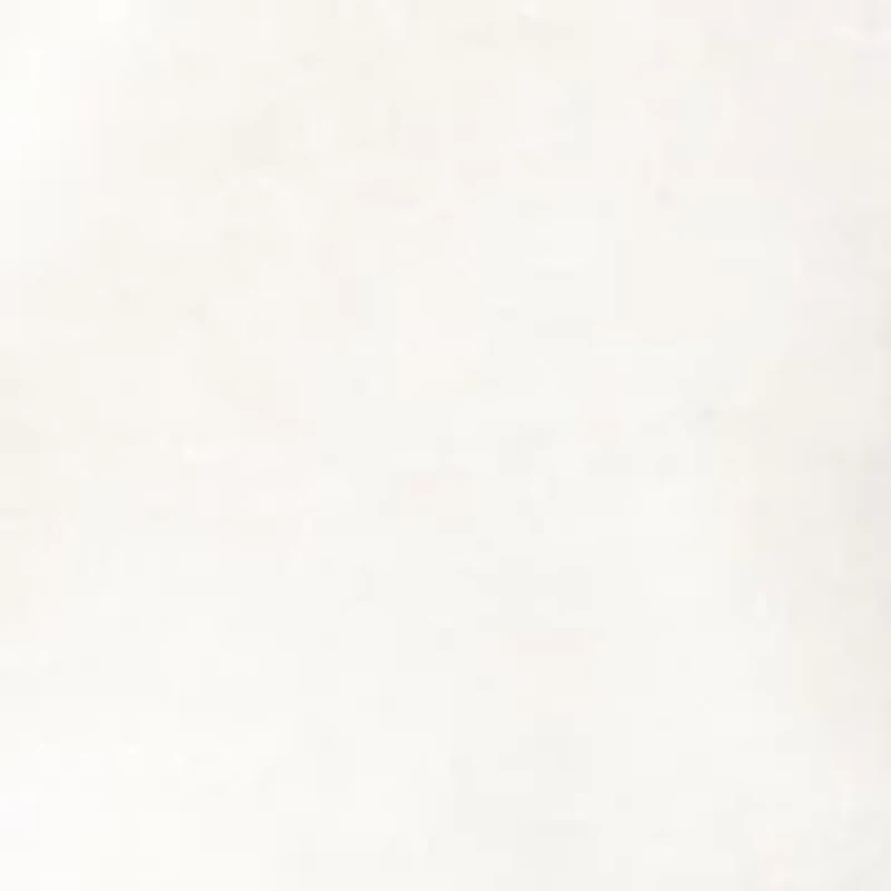 Plus Equestrian Club Burnout Graphic T-Shirt