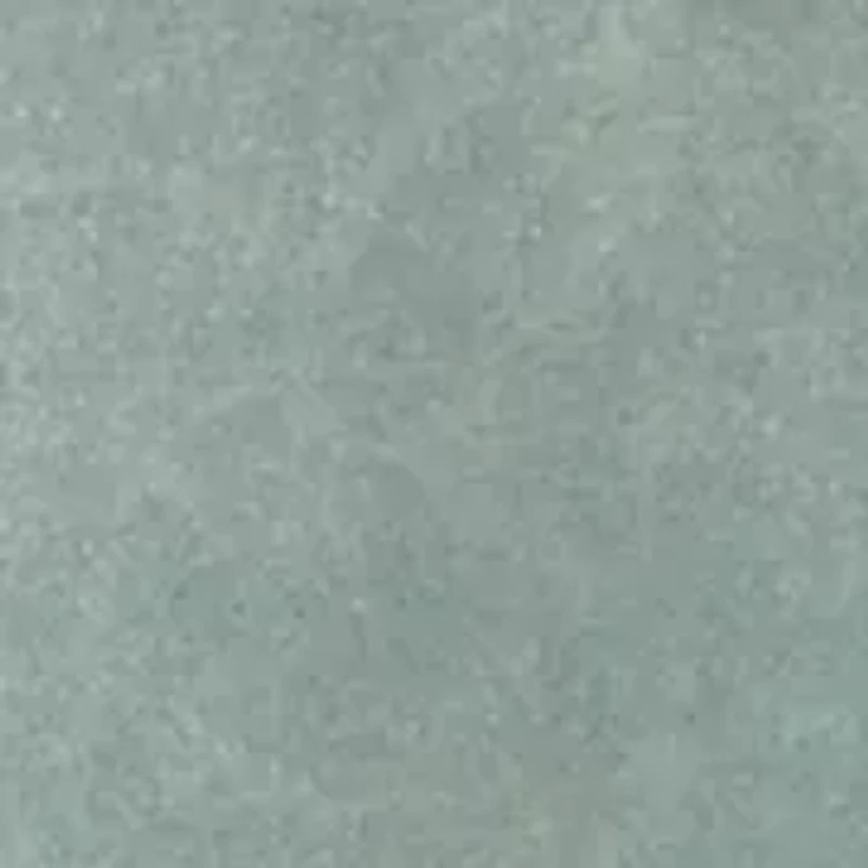 Plus Country Scene Graphic T-Shirt