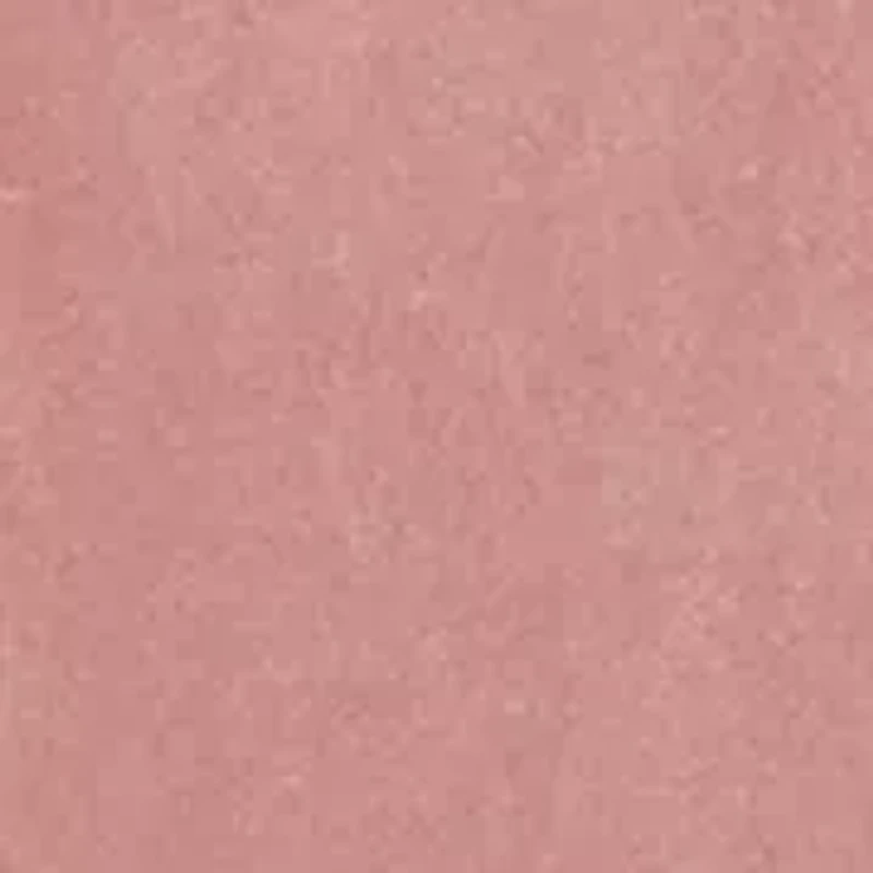 Plus Rolling Stones NY Roses Graphic T-Shirt