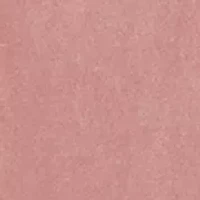 Plus Rolling Stones NY Roses Graphic T-Shirt