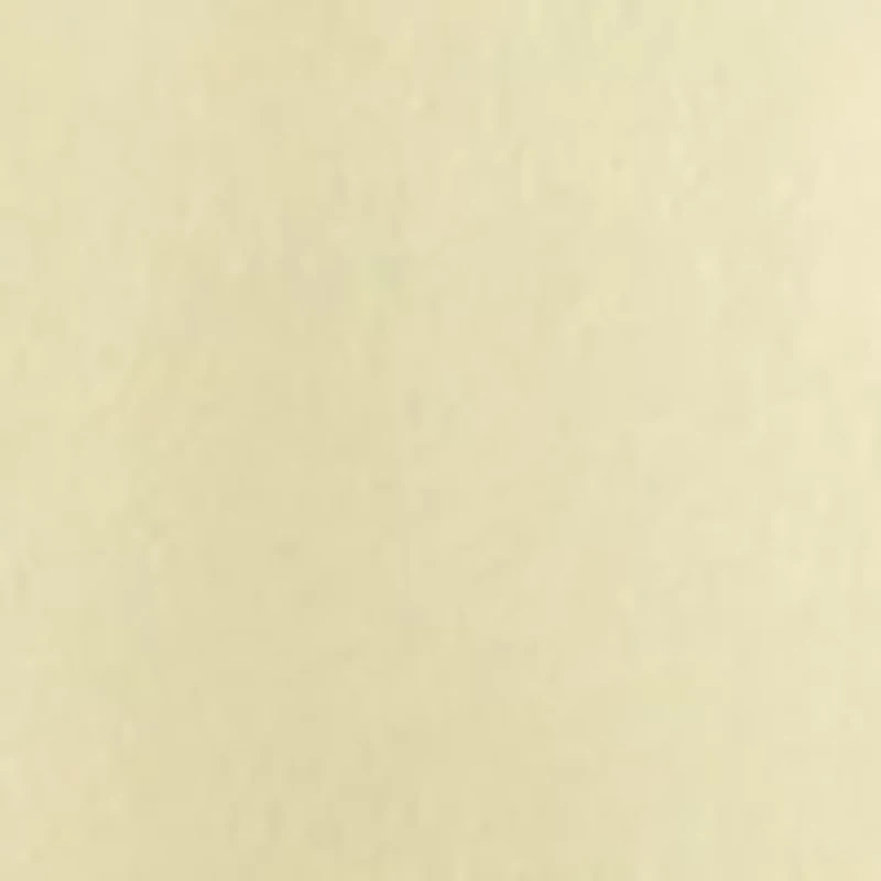 Plus Crew Neck Floral Sweatshirt