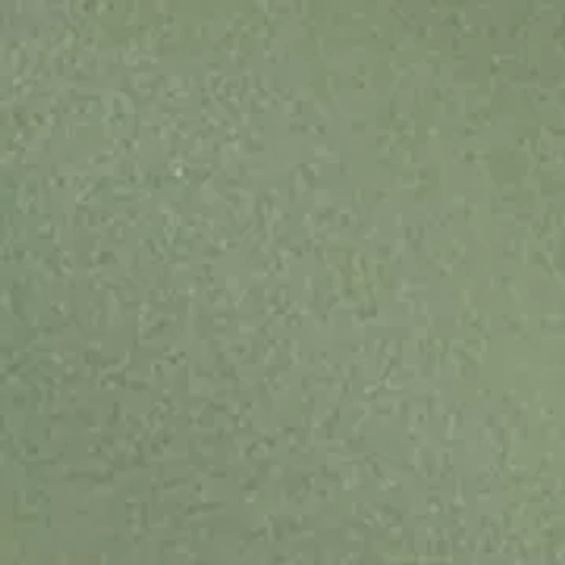 Plus Long Sleeve Crew Neck Nashville Sweatshirt