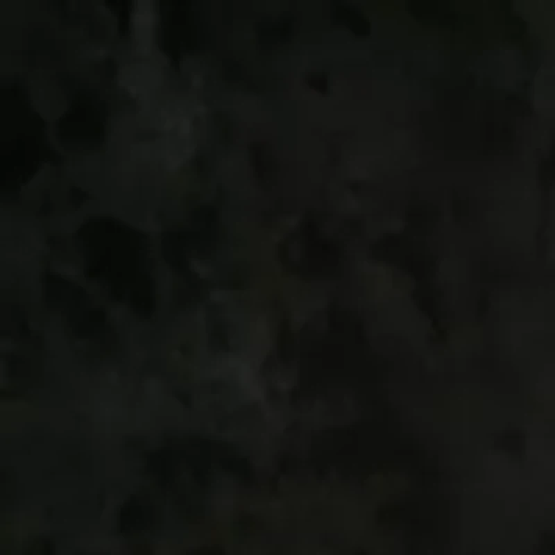 Women's Pull On Velvet Wide Leg Pants