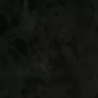 Women's Pull On Velvet Wide Leg Pants