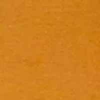 Women's Long Sleeve T-Shirt