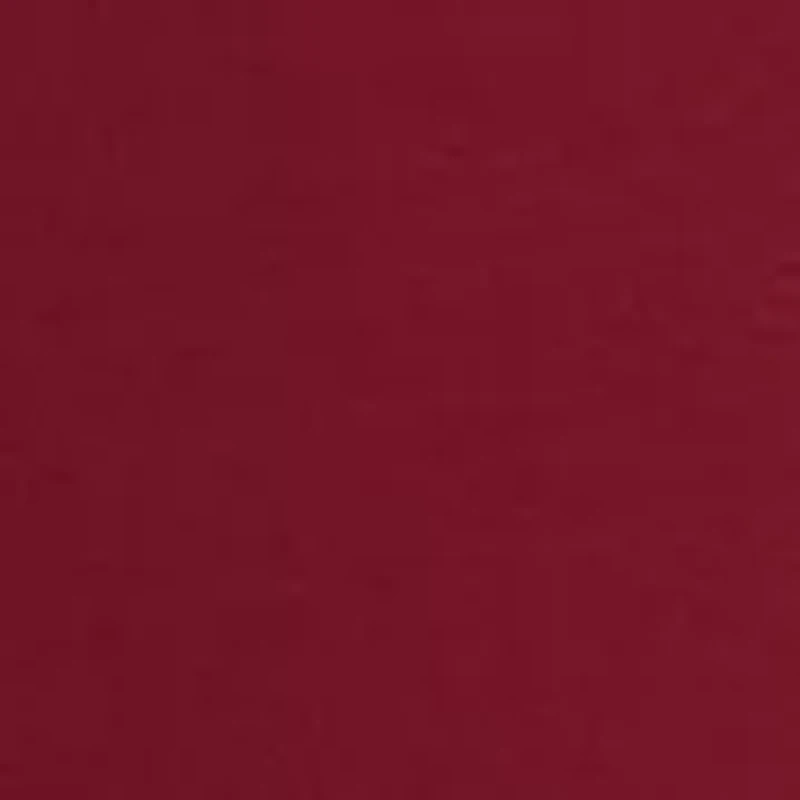 Plus V-Neck Lace Trim Top