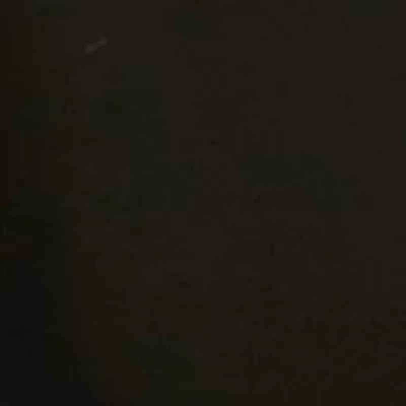 Women's Lantern Sleeve Funnel Neck Top