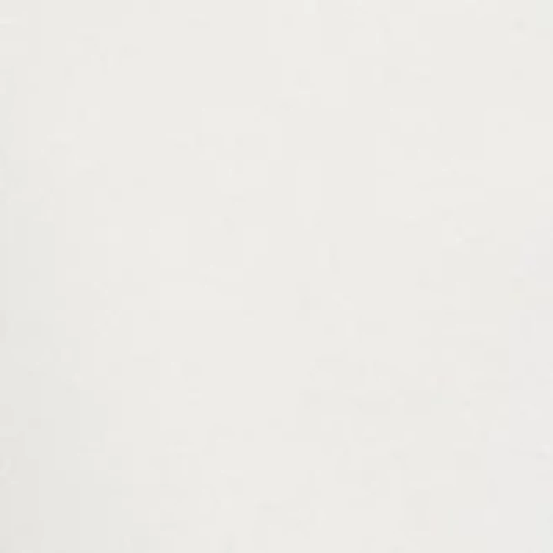 Women's Solid Fashion Pants