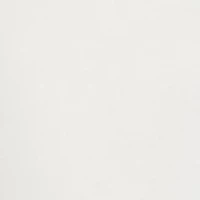 Women's Solid Fashion Pants