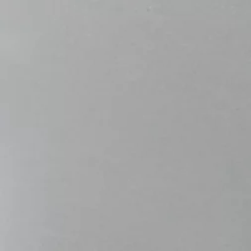 Petite Pull On Denim Jeans