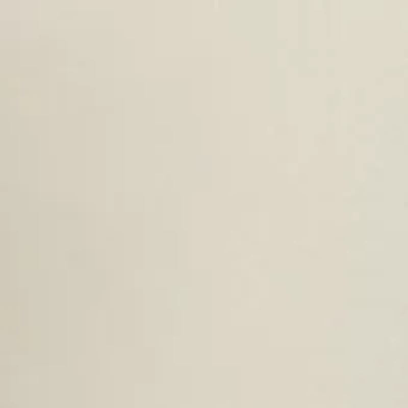 Petite Pull On Denim Jeans